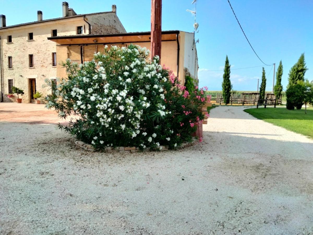 B&B Castel Goffredo San P 3 Zewnętrze zdjęcie
