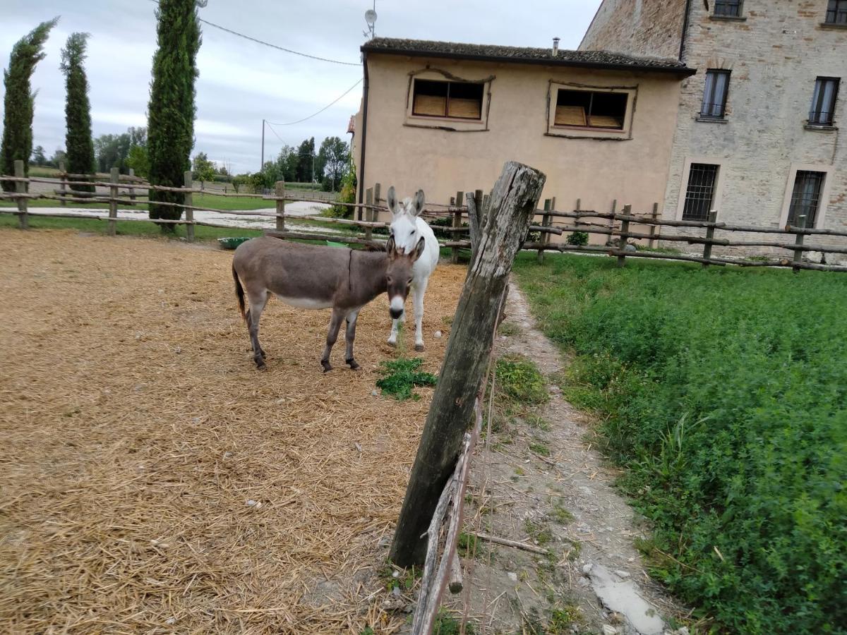 B&B Castel Goffredo San P 3 Zewnętrze zdjęcie